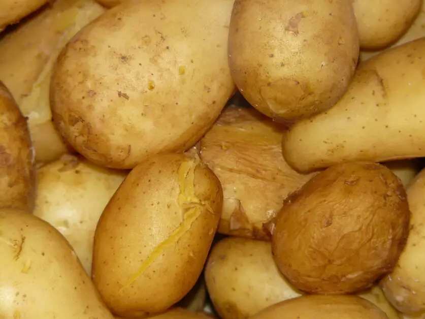 Pellkartoffeln und Kartoffeln im Schnellkochtopf