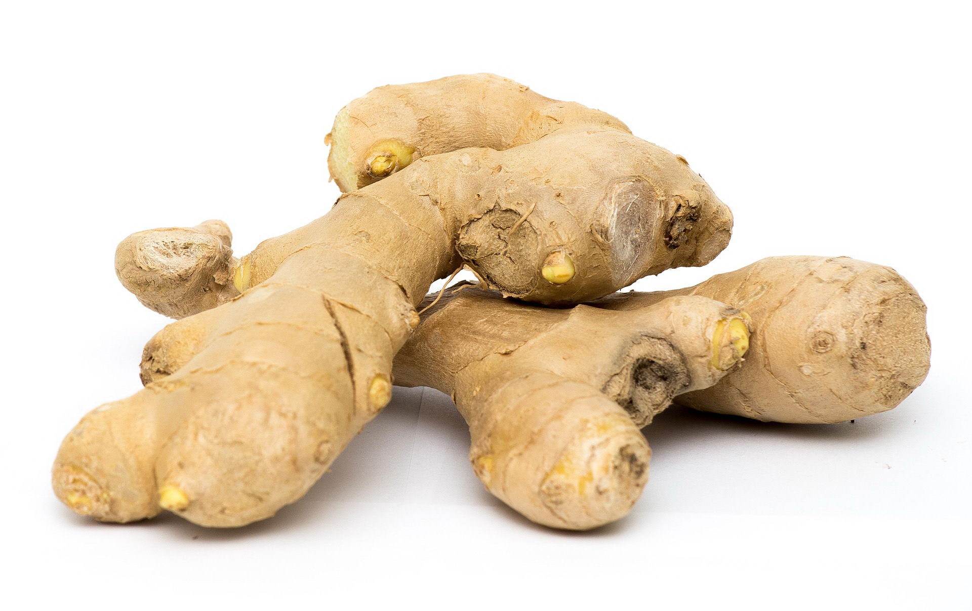 Ingwer der AromaBurner in der Kücher gesunde,aromatische Wurzel