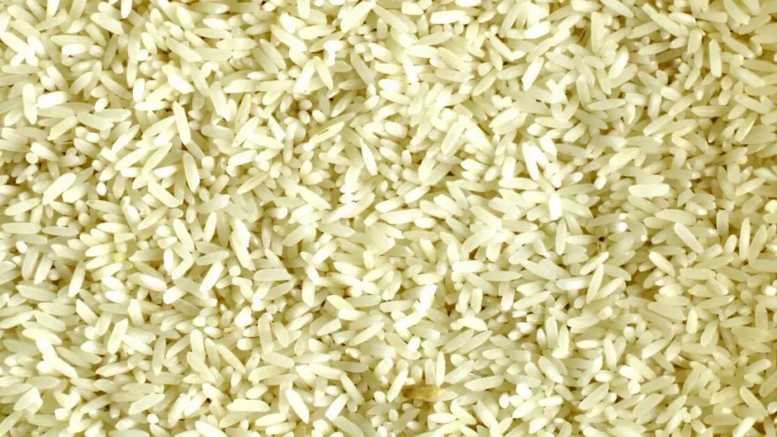 Reis für einen Schnellkochtopf-Brühreis