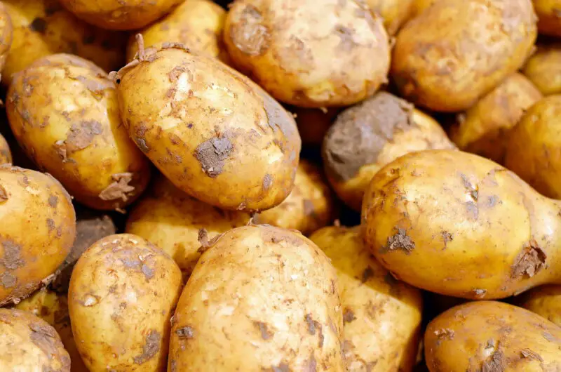 Niedernauer Kartoffeln