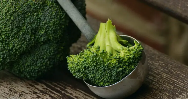 Broccoli - Brokkoli